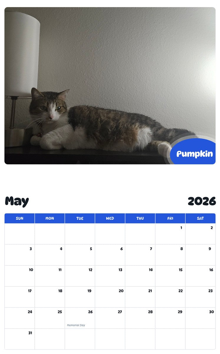 2026 - 2027 Pumpkin - Pawidols Pet Calendar