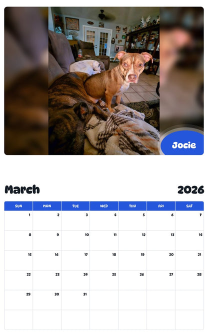 November 2025 - October 2026 Jocie - Pawidols Pet Calendar