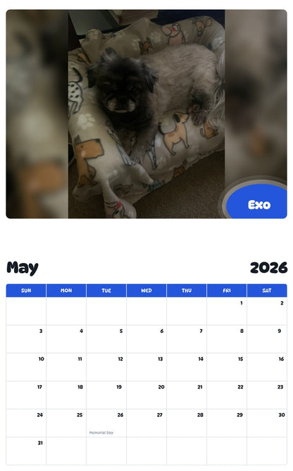 2026 - 2027 Exo - Pawidols Pet Calendar