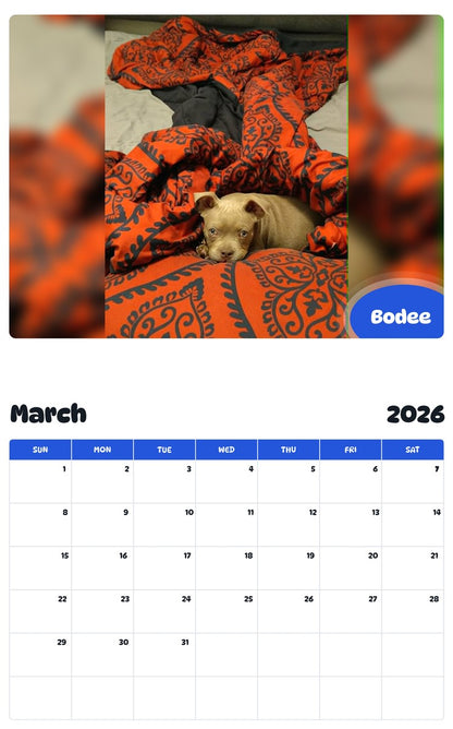 November 2025 - October 2026 Bodee - Pawidols Pet Calendar