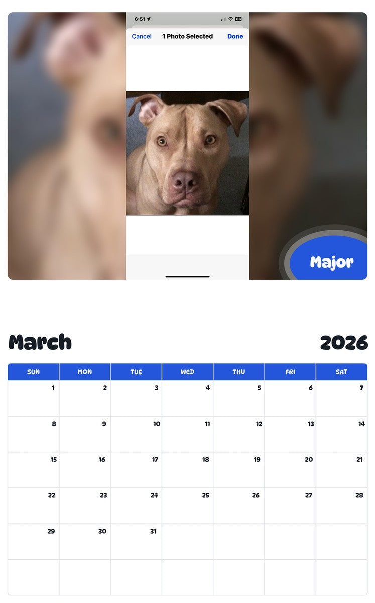 November 2025 - October 2026 Major - Pawidols Pet Calendar