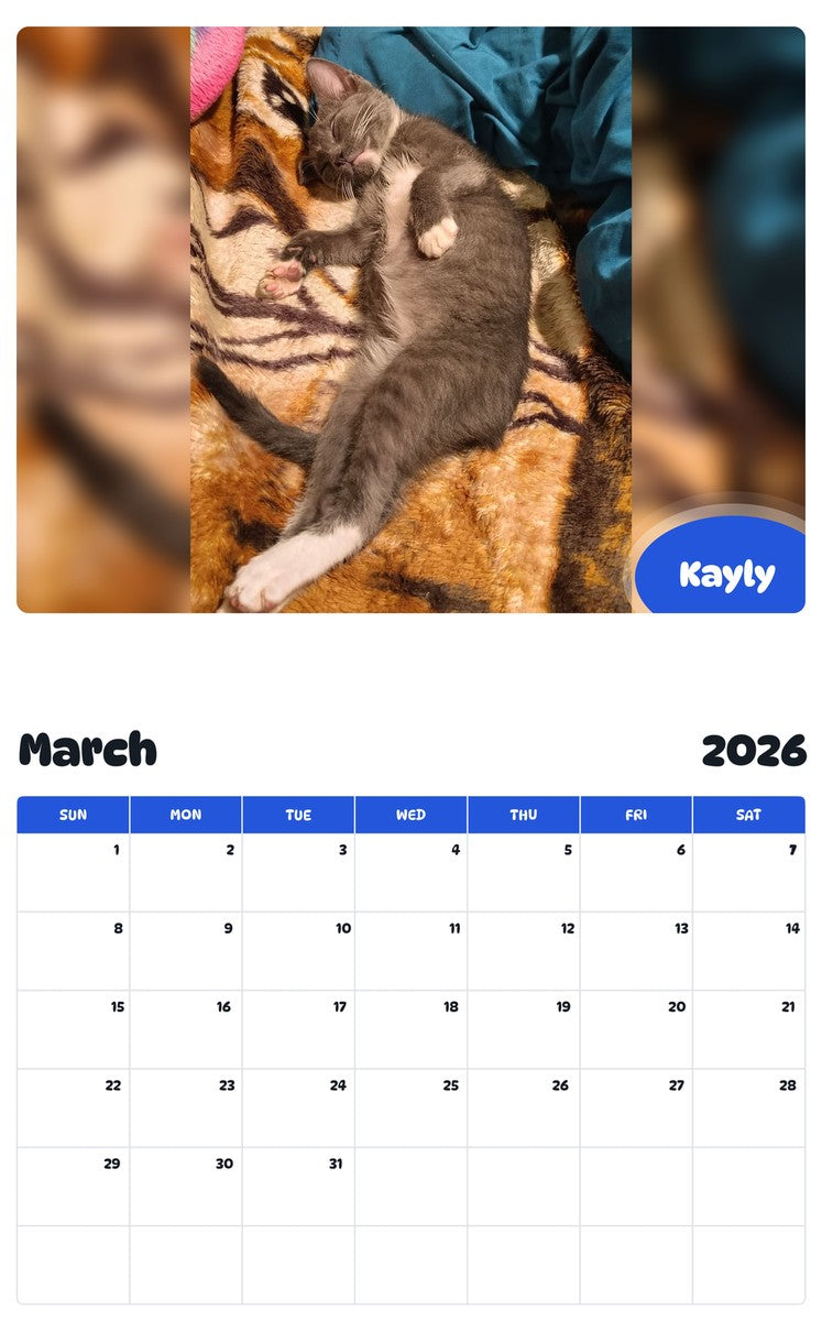 November 2025 - October 2026 Kayly - Pawidols Pet Calendar