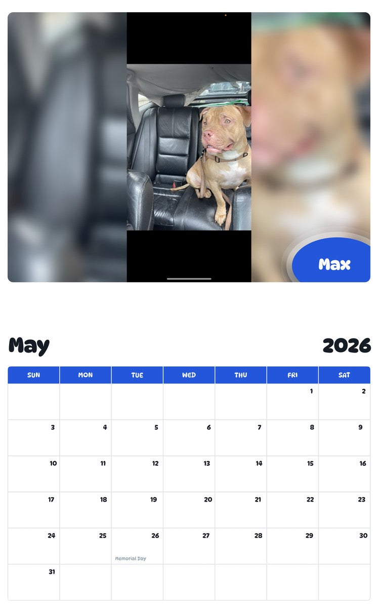2026 - 2027 Max - Pawidols Pet Calendar