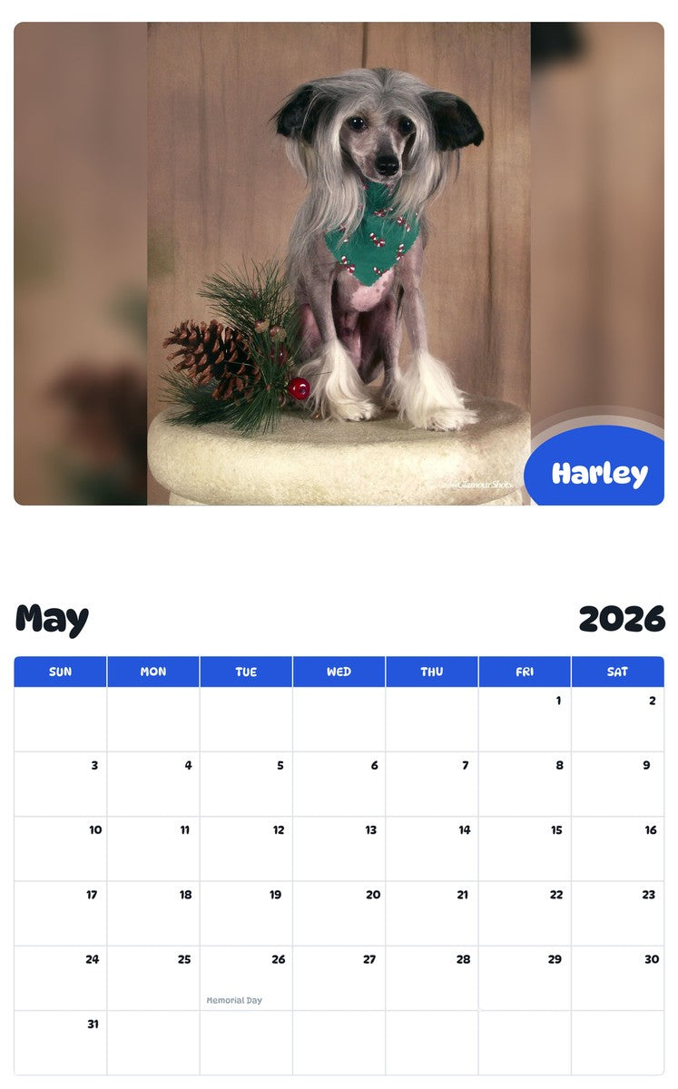 2026 - 2027 Harley - Pawidols Pet Calendar