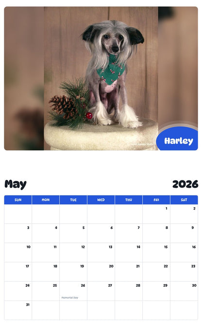 2026 - 2027 Harley - Pawidols Pet Calendar