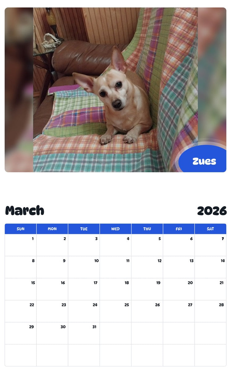 November 2025 - October 2026 Zues - Pawidols Pet Calendar