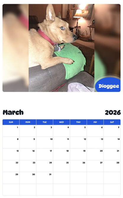 November 2025 - October 2026 Dioggee - Pawidols Pet Calendar