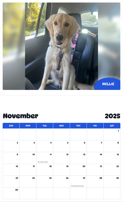 July 2025 - June 2026 Nellie - Pawidols Pet Calendar