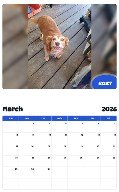 November 2025 - October 2026 ROXY - Pawidols Pet Calendar