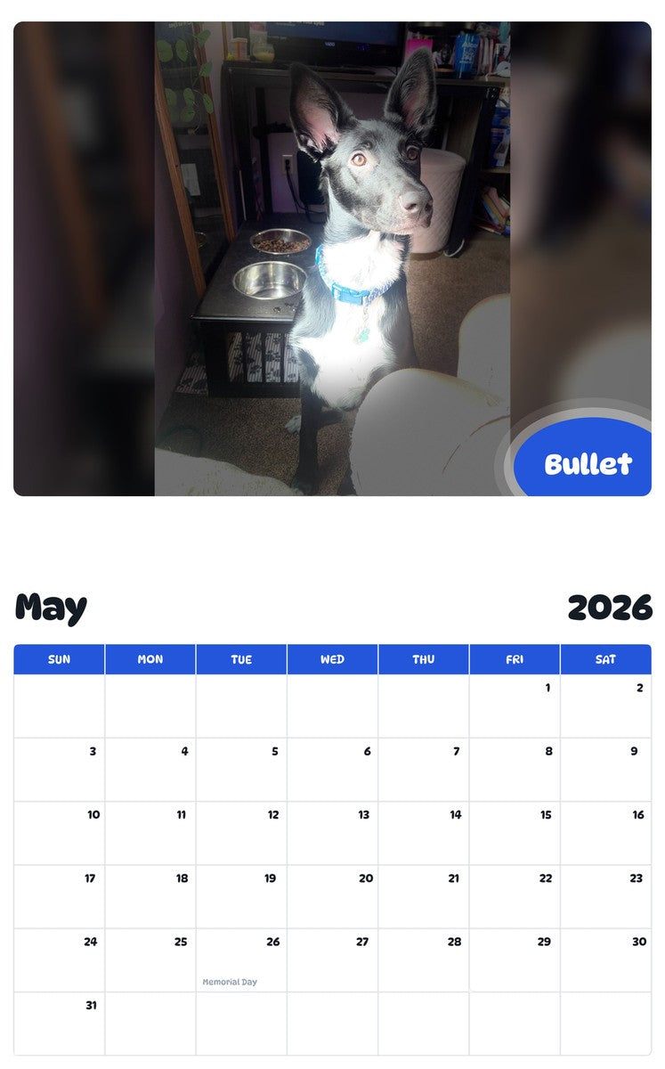 2026 - 2027 Bullet - Pawidols Pet Calendar