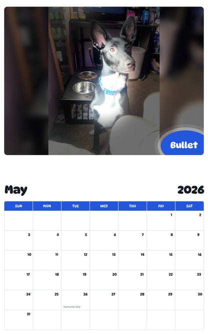 2026 - 2027 Bullet - Pawidols Pet Calendar