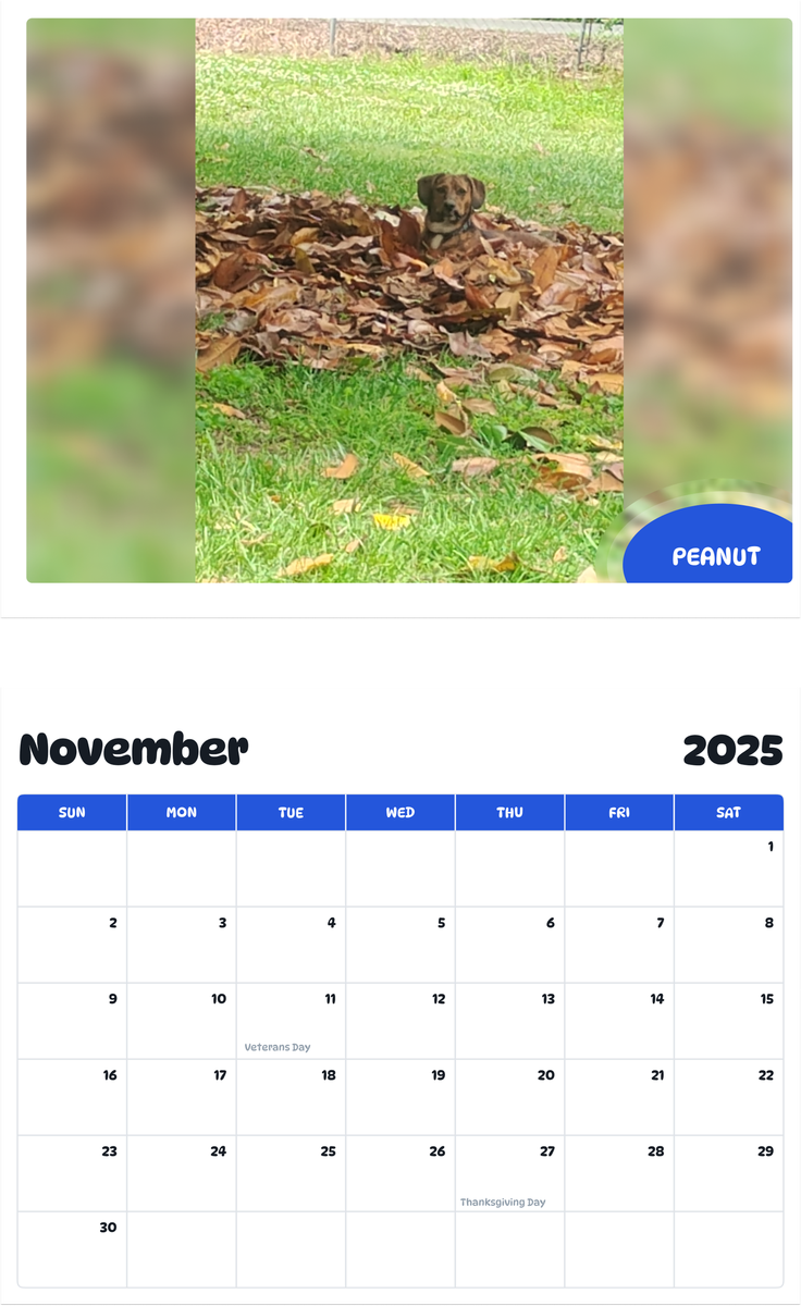 July 2025 - June 2026 Peanut - Pawidols Pet Calendar