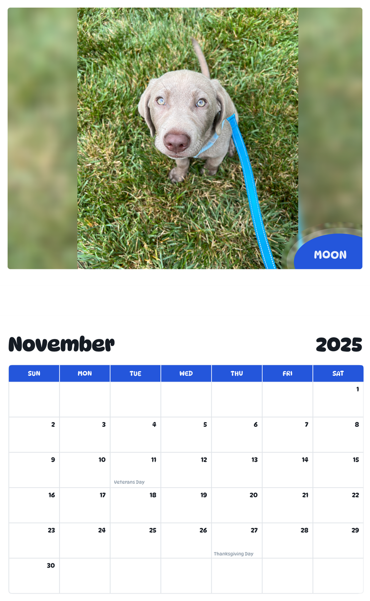 July 2025 - June 2026 Moon - Pawidols Pet Calendar