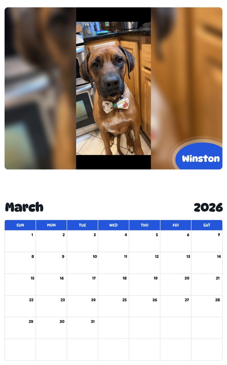 November 2025 - October 2026 Winston - Pawidols Pet Calendar