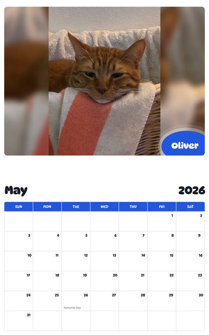 2026 - 2027 Oliver - Pawidols Pet Calendar