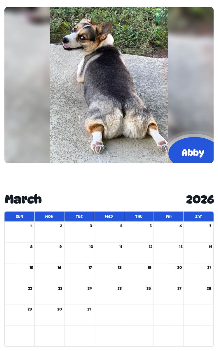 November 2025 - October 2026 Abby - Pawidols Pet Calendar