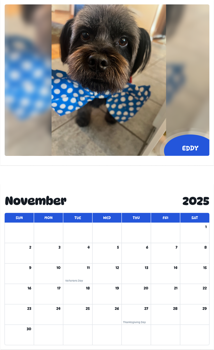 July 2025 - June 2026 Eddy - Pawidols Pet Calendar
