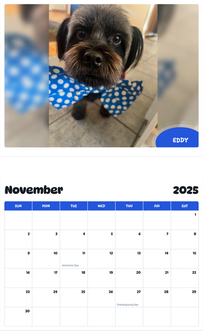July 2025 - June 2026 Eddy - Pawidols Pet Calendar