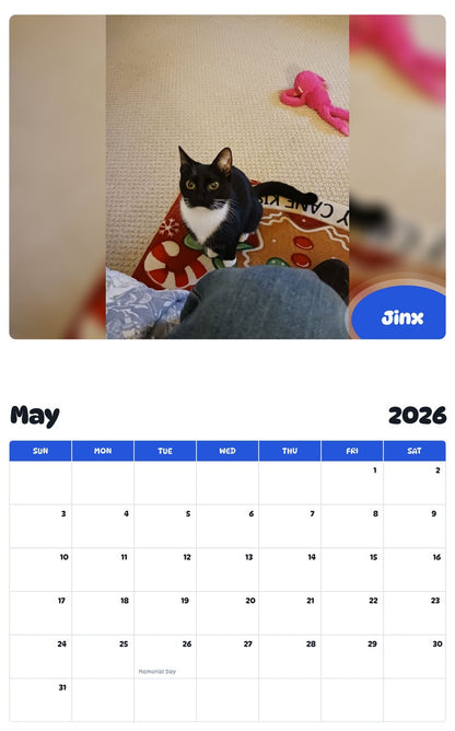 2026 - 2027 Jinx - Pawidols Pet Calendar
