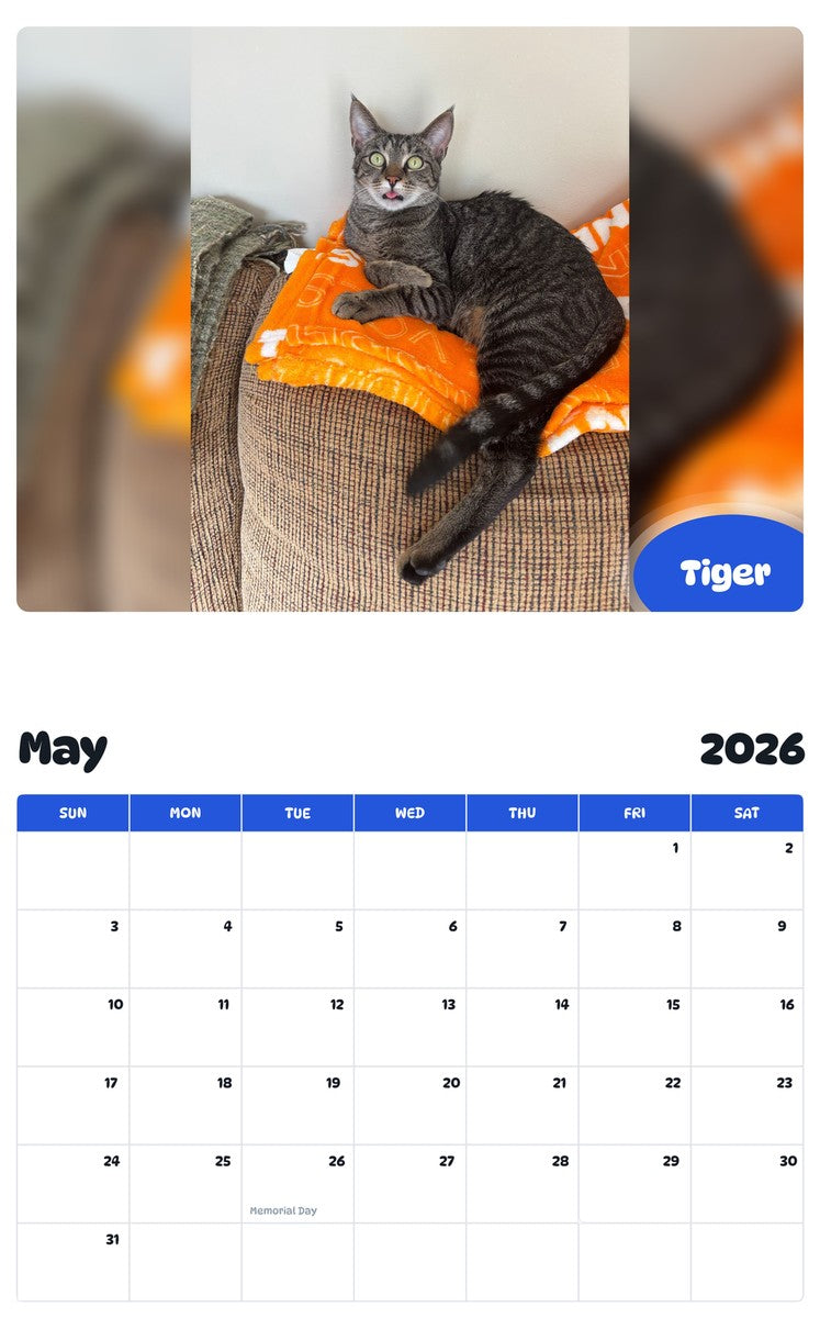 2026 - 2027 Tiger - Pawidols Pet Calendar
