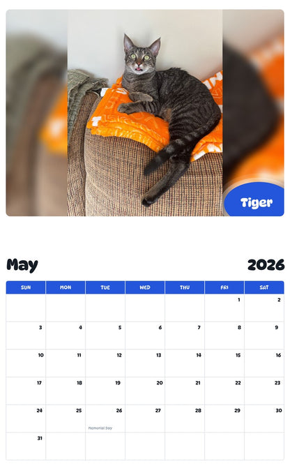 2026 - 2027 Tiger - Pawidols Pet Calendar