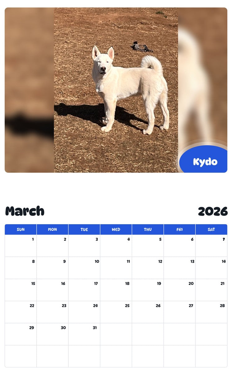 November 2025 - October 2026 Kydo - Pawidols Pet Calendar