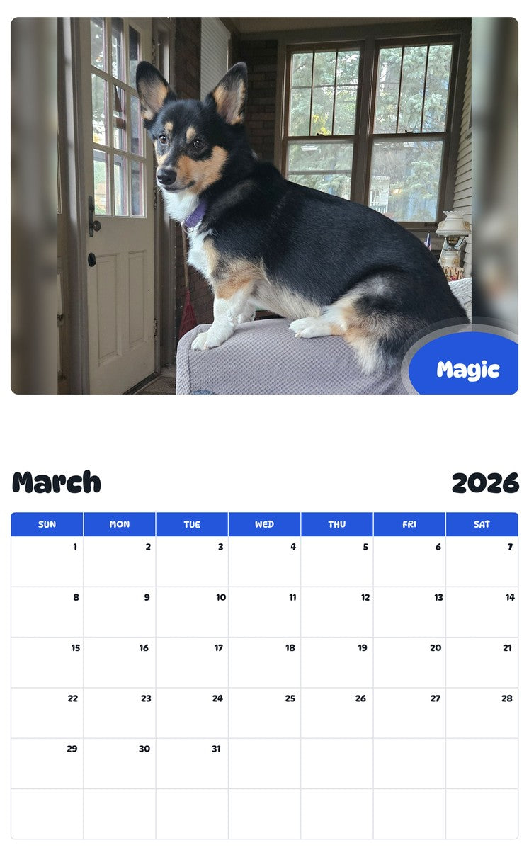 November 2025 - October 2026 Magic - Pawidols Pet Calendar