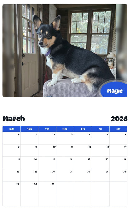 November 2025 - October 2026 Magic - Pawidols Pet Calendar