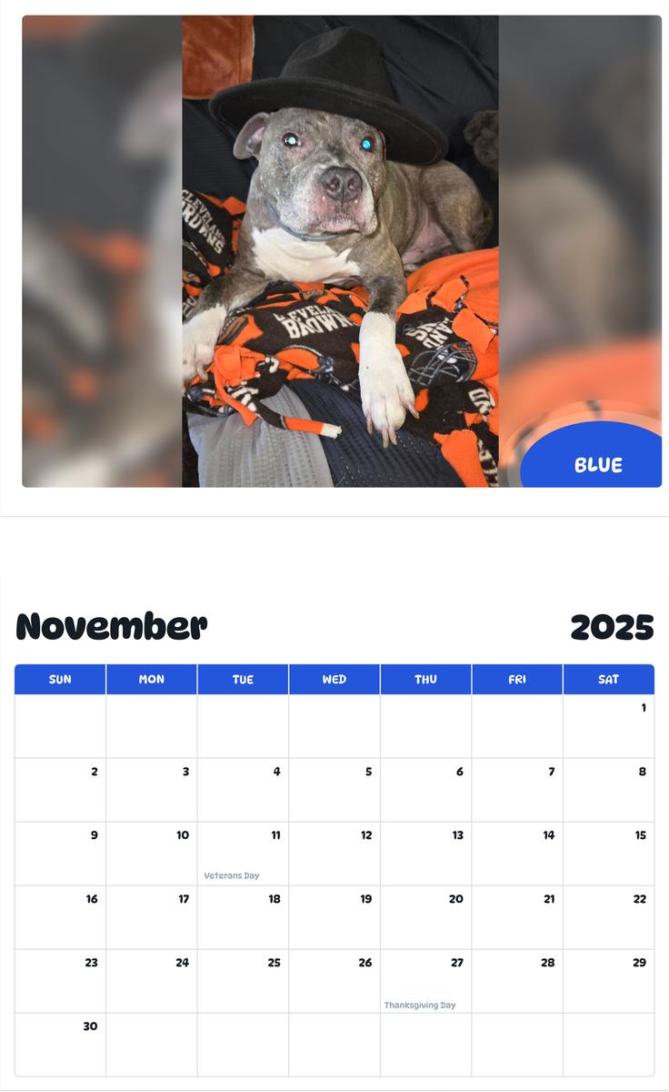July 2025 - June 2026 Blue - Pawidols Pet Calendar