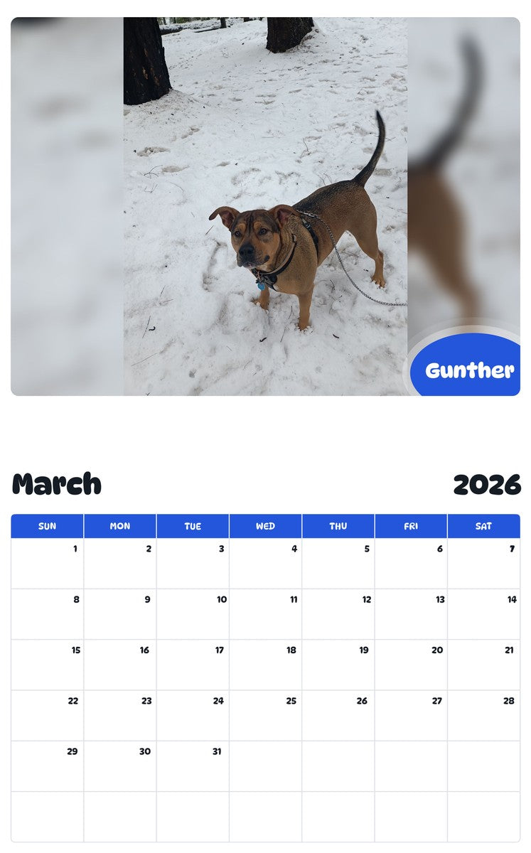 November 2025 - October 2026 Gunther - Pawidols Pet Calendar
