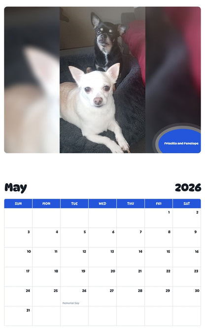2026 - 2027 Priscilla and Penelope - Pawidols Pet Calendar
