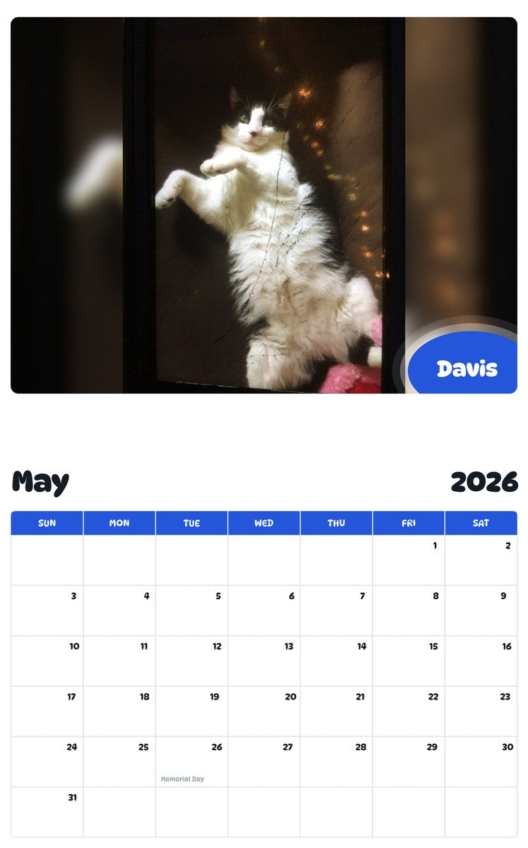 2026 - 2027 Davis - Pawidols Pet Calendar
