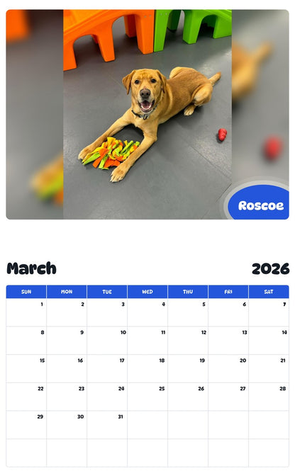 November 2025 - October 2026 Roscoe - Pawidols Pet Calendar