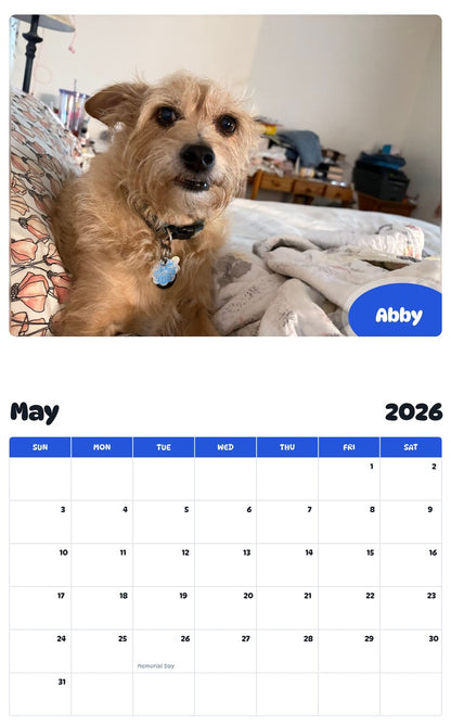 2026 - 2027 Abby - Pawidols Pet Calendar