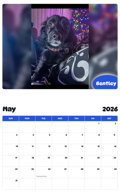 2026 - 2027 Bentley - Pawidols Pet Calendar