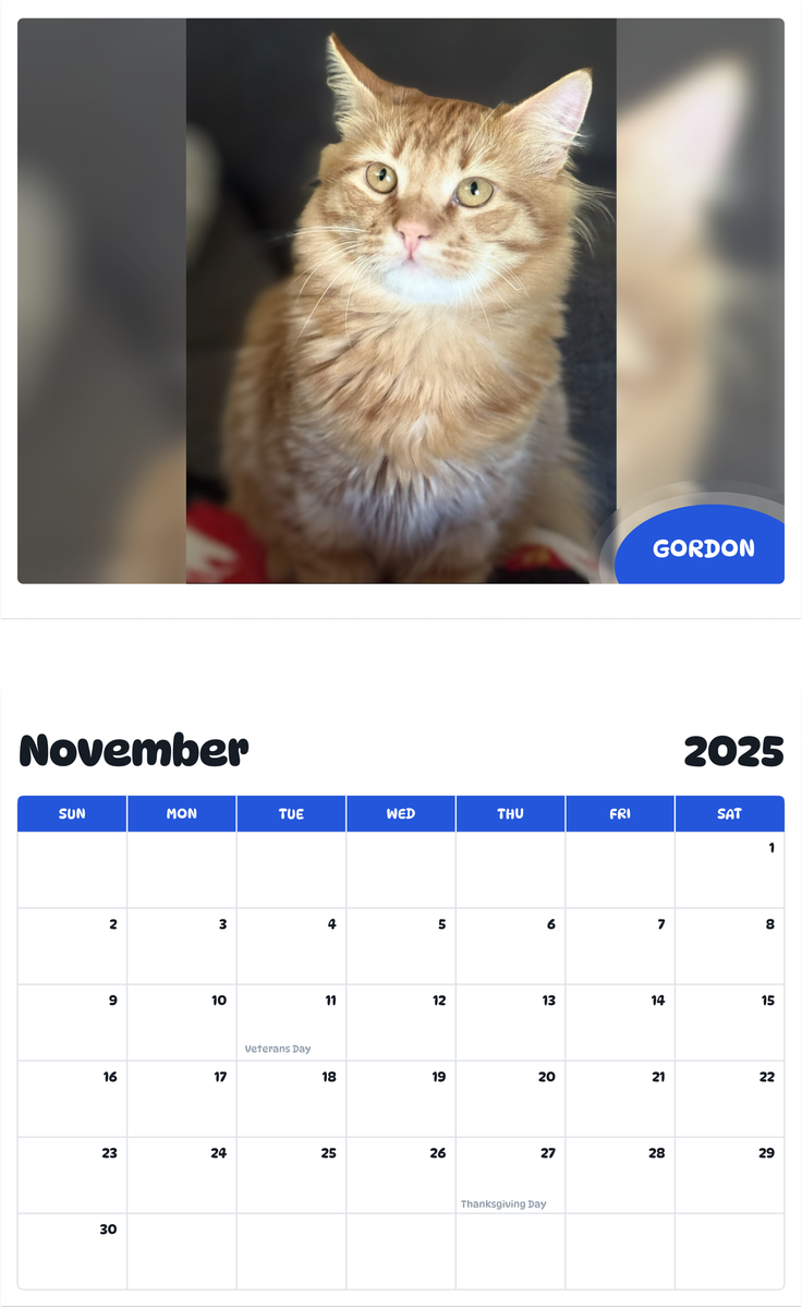 July 2025 - June 2026 Gordon - Pawidols Pet Calendar