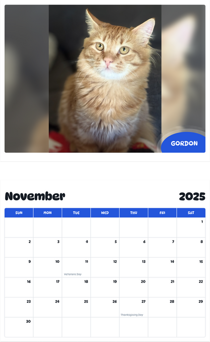 July 2025 - June 2026 Gordon - Pawidols Pet Calendar