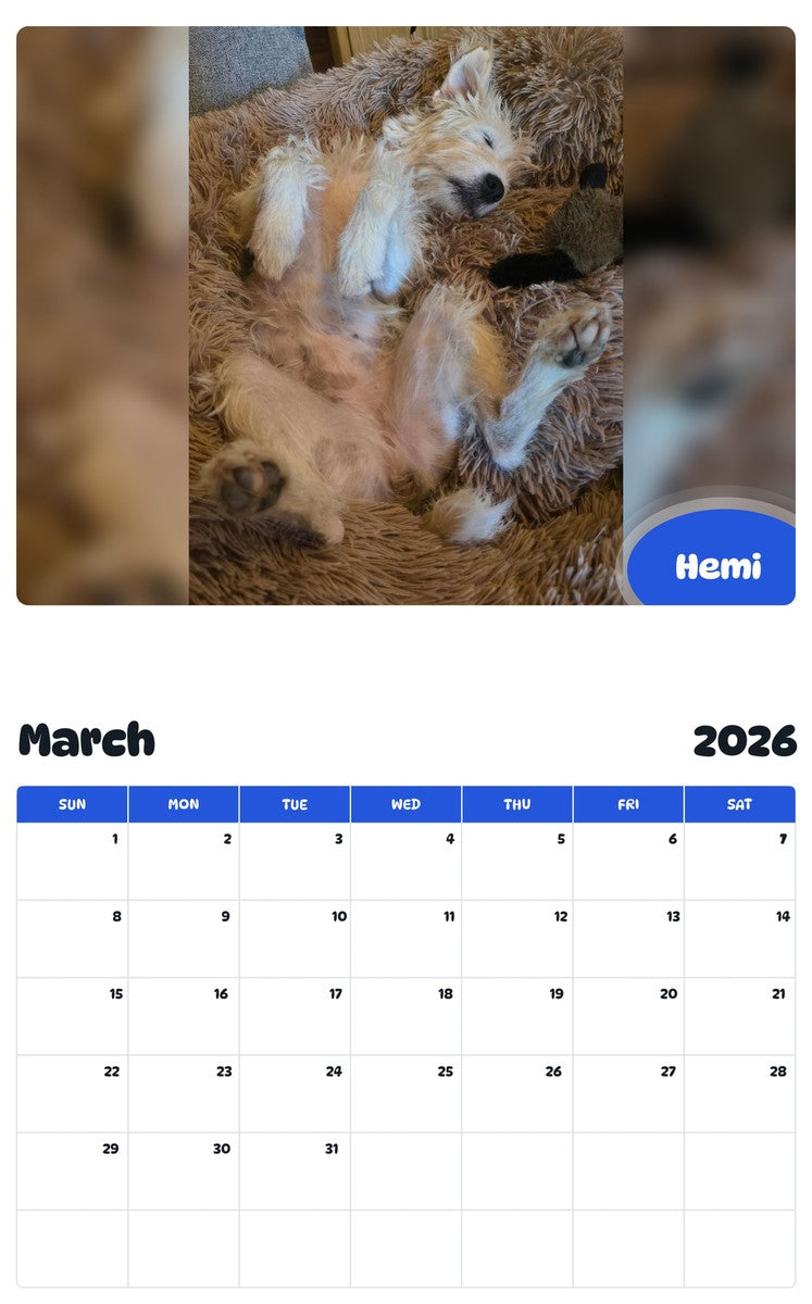 November 2025 - October 2026 Hemi - Pawidols Pet Calendar