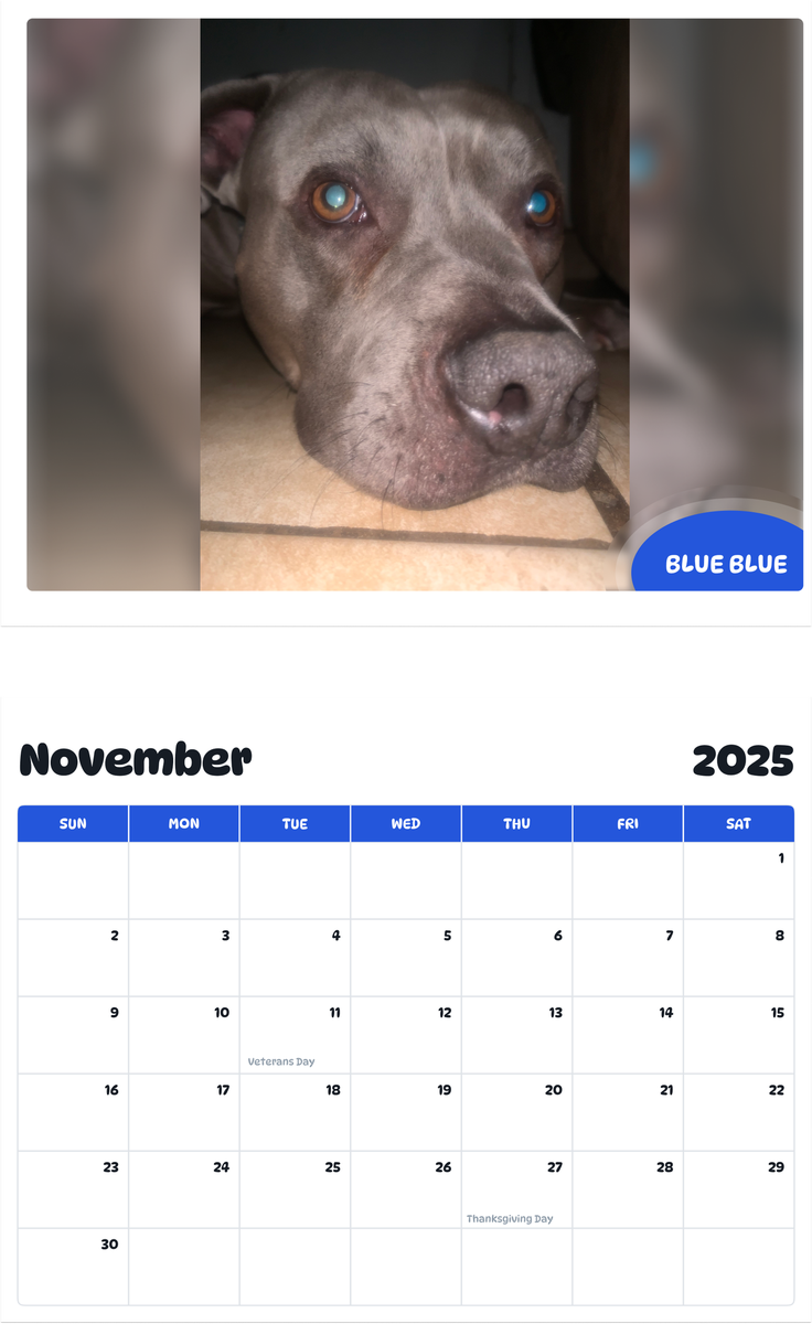 July 2025 - June 2026 Blue blue - Pawidols Pet Calendar