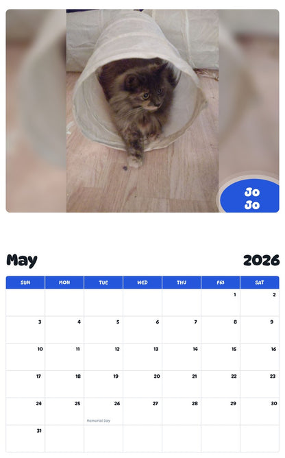 2026 - 2027 Jo Jo - Pawidols Pet Calendar