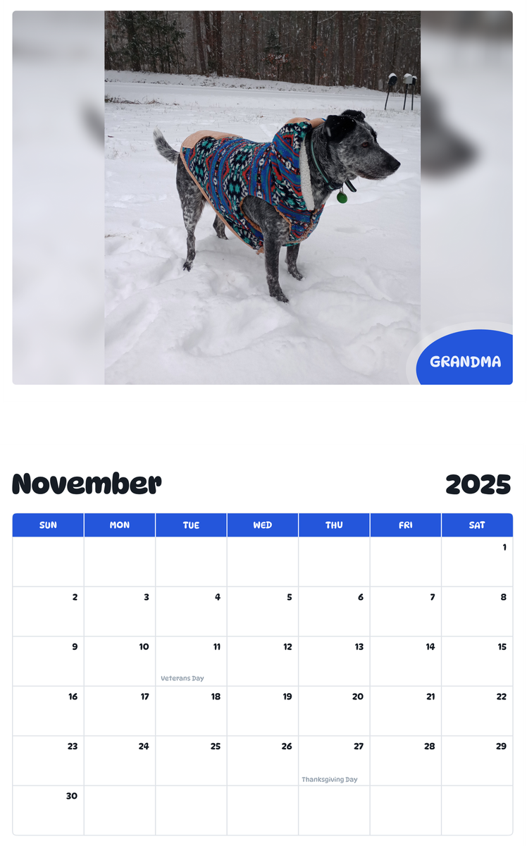 July 2025 - June 2026 Grandma - Pawidols Pet Calendar