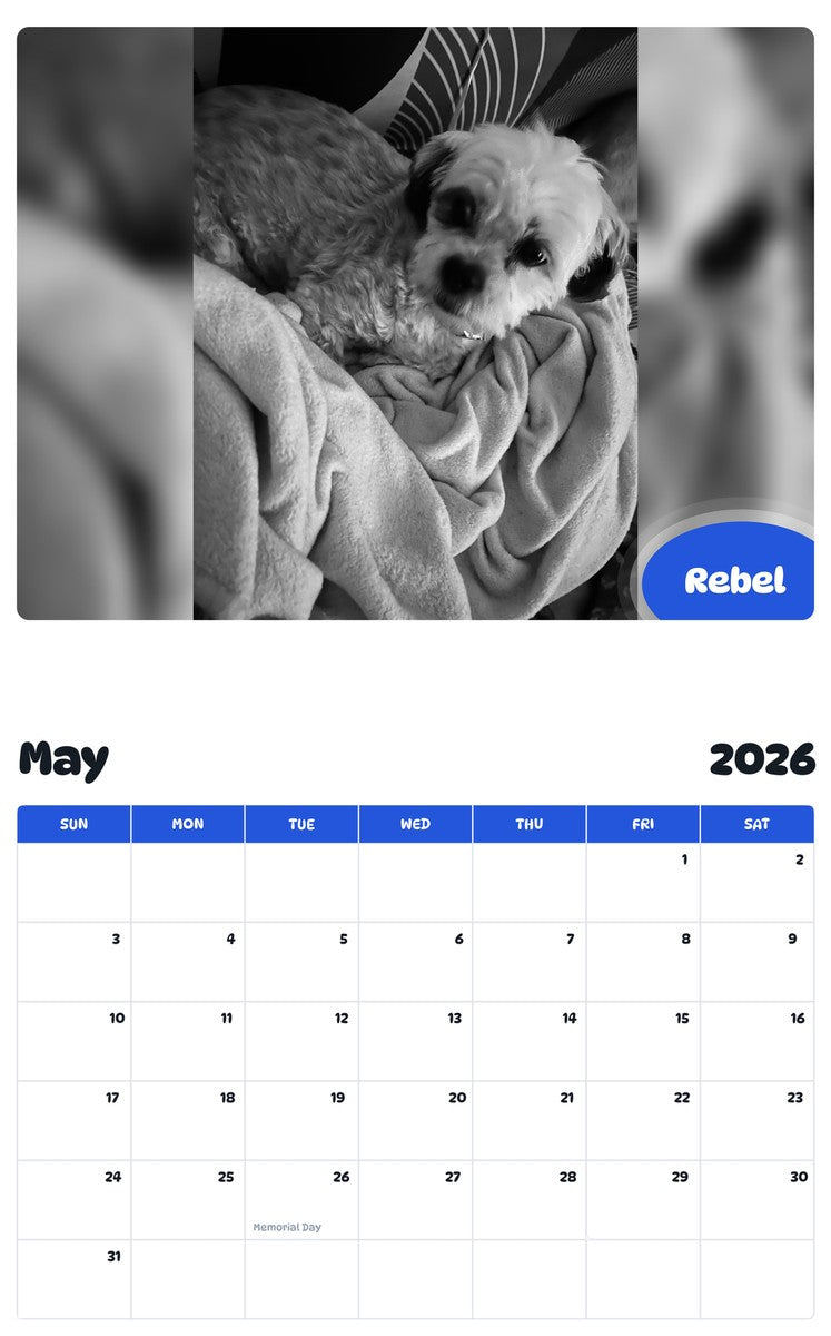 2026 - 2027 Rebel - Pawidols Pet Calendar