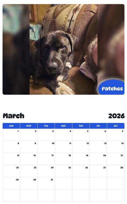 November 2025 - October 2026 Patches - Pawidols Pet Calendar