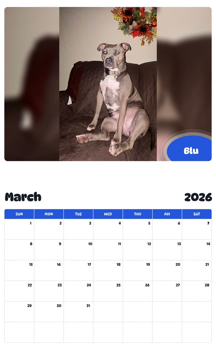 November 2025 - October 2026 Blu - Pawidols Pet Calendar