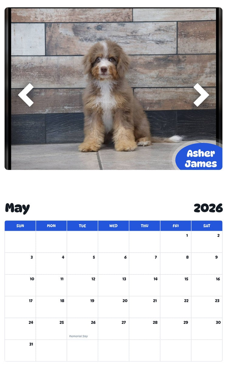 2026 - 2027 Asher James - Pawidols Pet Calendar