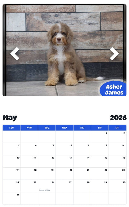 2026 - 2027 Asher James - Pawidols Pet Calendar
