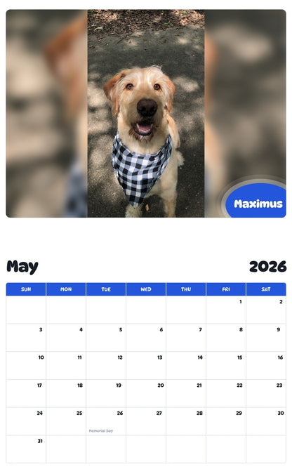 2026 - 2027 Maximus - Pawidols Pet Calendar