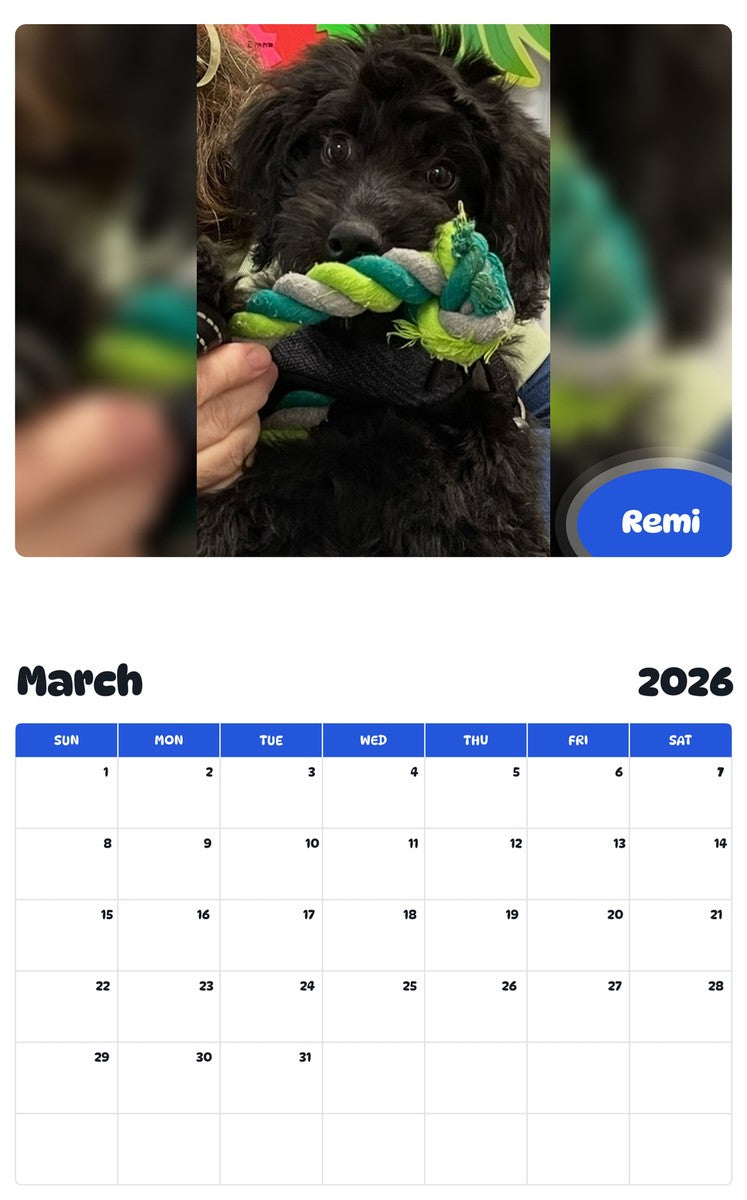 November 2025 - October 2026 Remi - Pawidols Pet Calendar