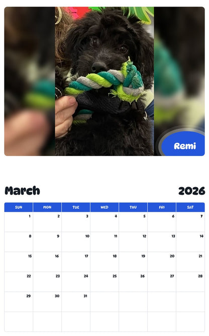 November 2025 - October 2026 Remi - Pawidols Pet Calendar