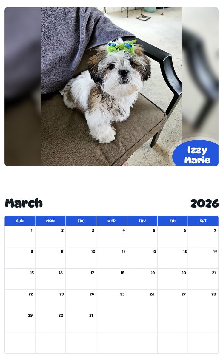 November 2025 - October 2026 Izzy Marie - Pawidols Pet Calendar